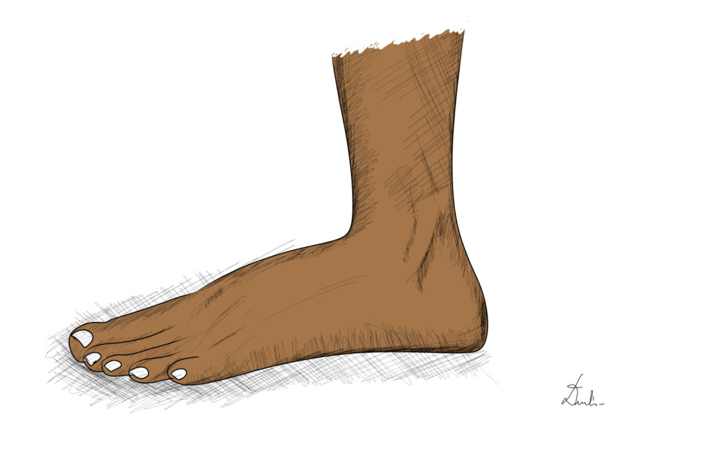 pied dimitri.tech